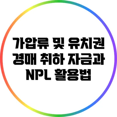 가압류 및 유치권 경매 취하 자금과 NPL 활용법