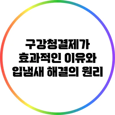 구강청결제가 효과적인 이유와 입냄새 해결의 원리