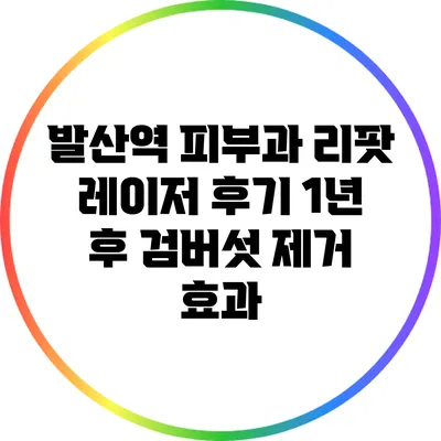 발산역 피부과 리팟 레이저 후기: 1년 후 검버섯 제거 효과