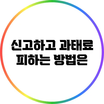 신고하고 과태료 피하는 방법은?