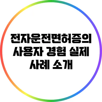 전자운전면허증의 사용자 경험: 실제 사례 소개