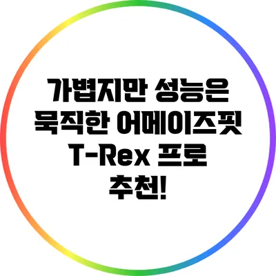 가볍지만 성능은 묵직한 어메이즈핏 T-Rex 프로 추천!