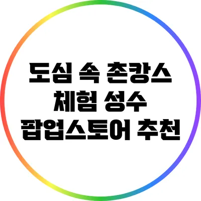 도심 속 촌캉스 체험: 성수 팝업스토어 추천