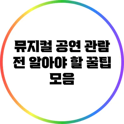 뮤지컬 공연 관람 전 알아야 할 꿀팁 모음