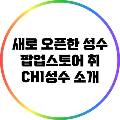 새로 오픈한 성수 팝업스토어 취 CHI성수 소개