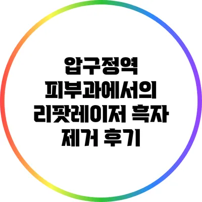 압구정역 피부과에서의 리팟레이저 흑자 제거 후기