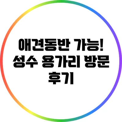 애견동반 가능! 성수 용가리 방문 후기