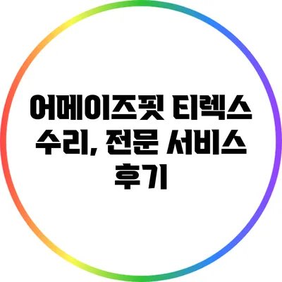 어메이즈핏 티렉스 수리, 전문 서비스 후기