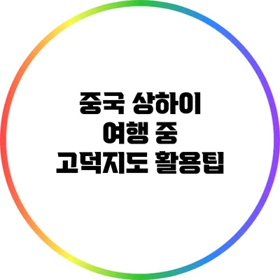 중국 상하이 여행 중 고덕지도 활용팁