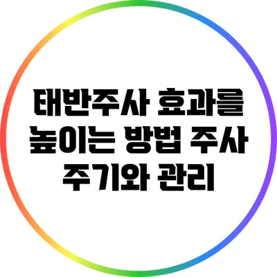 태반주사 효과를 높이는 방법: 주사 주기와 관리