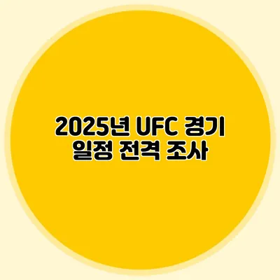 2025년 UFC 경기 일정 전격 조사