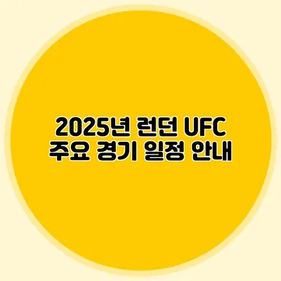 2025년 런던 UFC 주요 경기 일정 안내