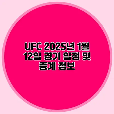 UFC 2025년 1월 12일 경기 일정 및 중계 정보
