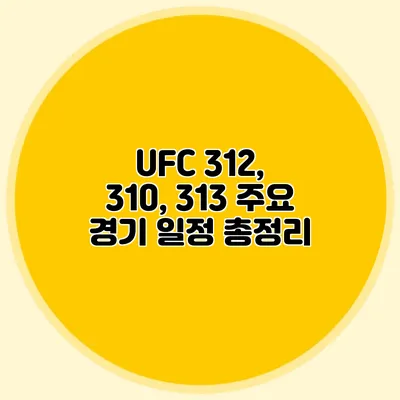 UFC 312, 310, 313 주요 경기 일정 총정리
