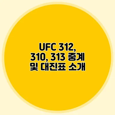 UFC 312, 310, 313 중계 및 대진표 소개