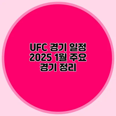 UFC 경기 일정 2025 1월 주요 경기 정리