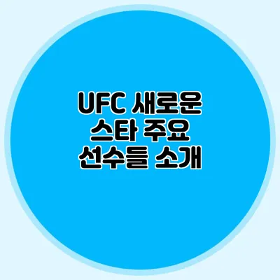 UFC 새로운 스타 주요 선수들 소개