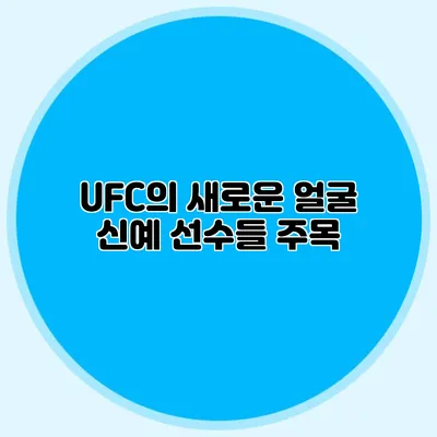 UFC의 새로운 얼굴 신예 선수들 주목