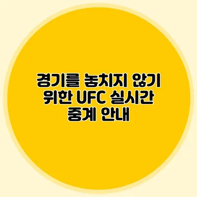 경기를 놓치지 않기 위한 UFC 실시간 중계 안내