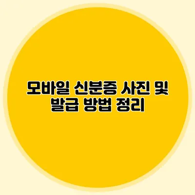모바일 신분증 사진 및 발급 방법 정리