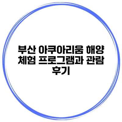 부산 아쿠아리움 해양 체험 프로그램과 관람 후기