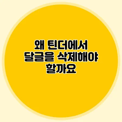왜 틴더에서 달글을 삭제해야 할까요?