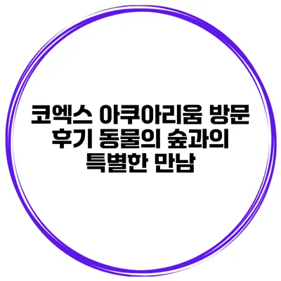 코엑스 아쿠아리움 방문 후기 동물의 숲과의 특별한 만남