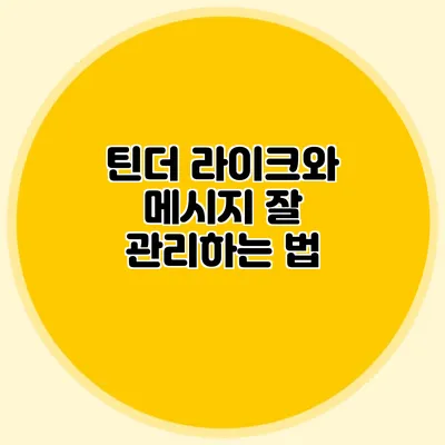 틴더 라이크와 메시지 잘 관리하는 법