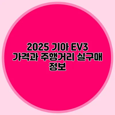 2025 기아 EV3 가격과 주행거리 실구매 정보