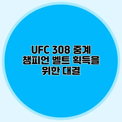 UFC 308 중계 챔피언 벨트 획득을 위한 대결
