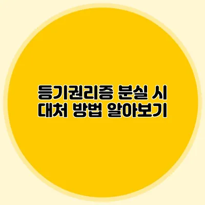 등기권리증 분실 시 대처 방법 알아보기