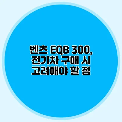 벤츠 EQB 300, 전기차 구매 시 고려해야 할 점