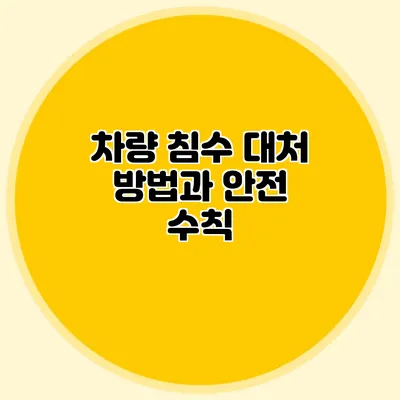 차량 침수 대처 방법과 안전 수칙