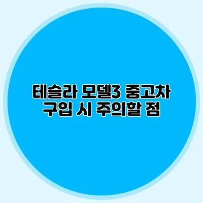 테슬라 모델3 중고차 구입 시 주의할 점