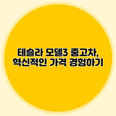 테슬라 모델3 중고차, 혁신적인 가격 경험하기