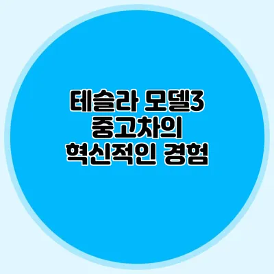 테슬라 모델3 중고차의 혁신적인 경험