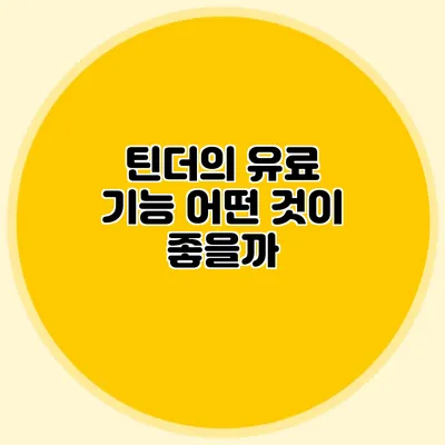 틴더의 유료 기능 어떤 것이 좋을까?